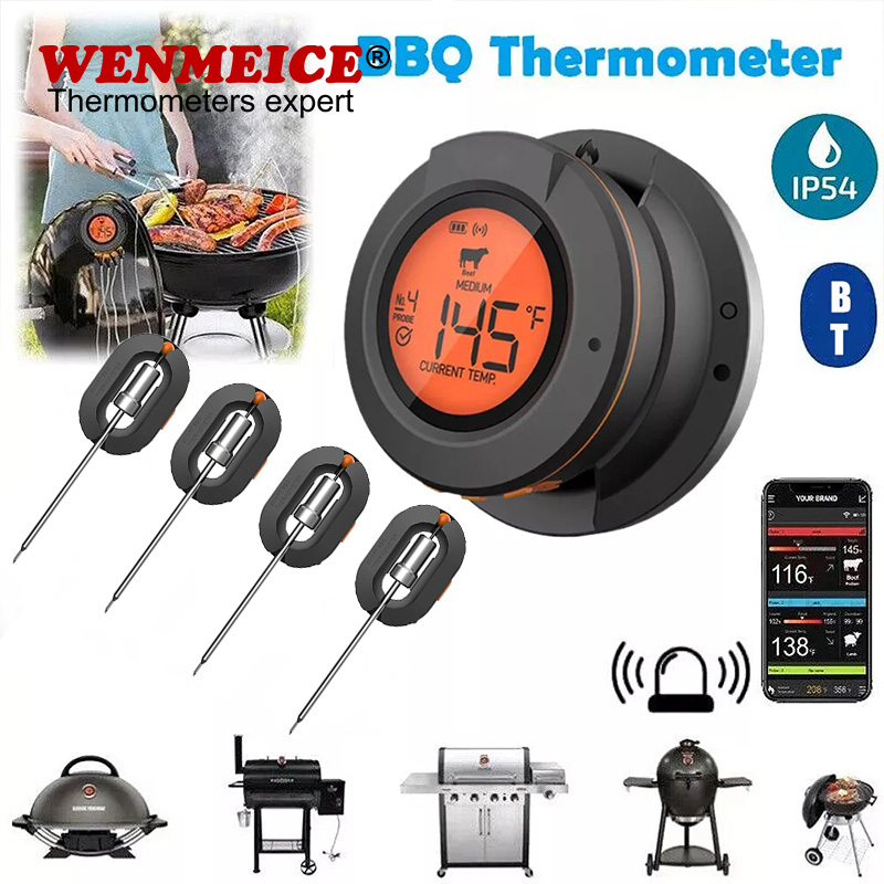 WENMEICE Bluetooth Thermometer - Kitchen Gadgets Under 500 review and price